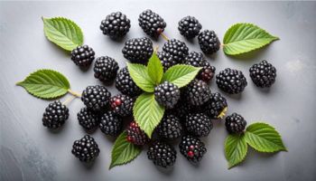 Blackberries
