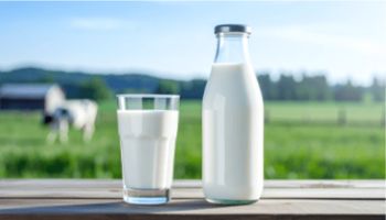 Your Preferred Liquid